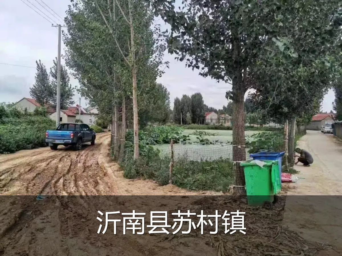 沂南县苏村镇