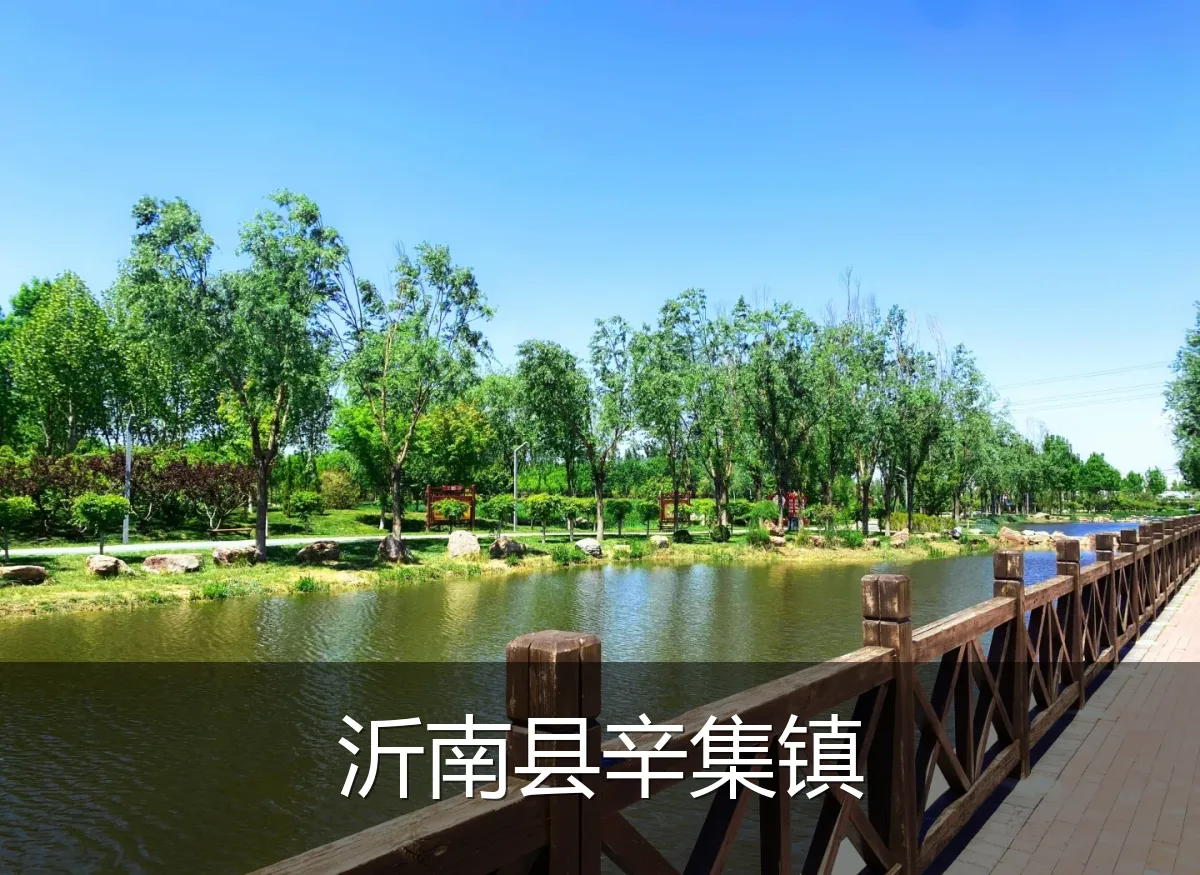 沂南县辛集镇