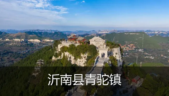 沂南县青驼镇